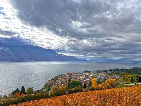 MONTREUX - VILLA D’EXCEPTION AVEC VUE PANORAMIQUE 3