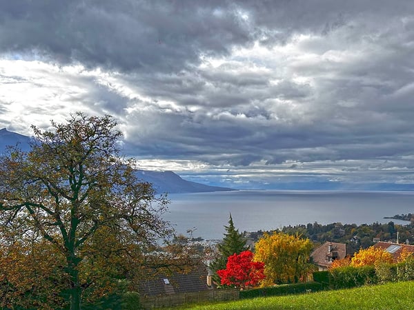 MONTREUX - VILLA D’EXCEPTION AVEC VUE PANORAMIQUE 1