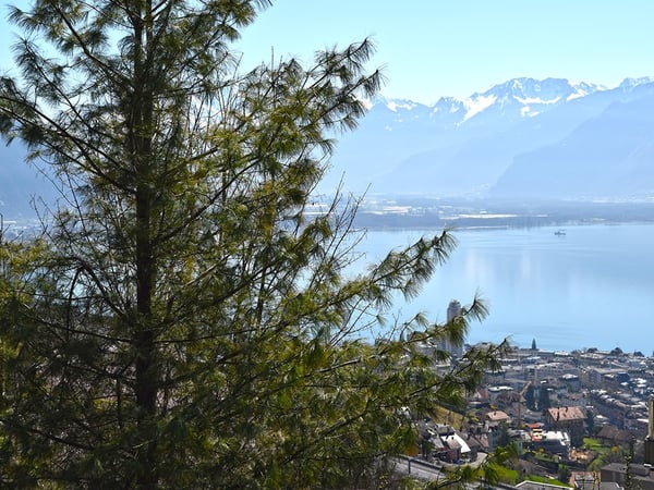 MONTREUX - VILLA D’EXCEPTION AVEC VUE PANORAMIQUE 2