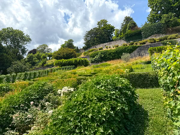 NYON - SUPERBE APPARTEMENT NEUF 5