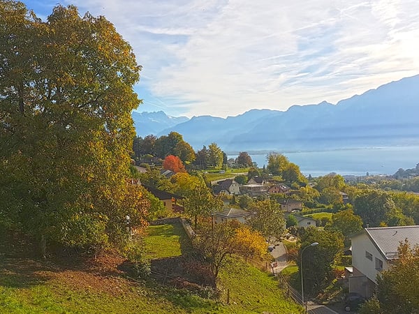 HAUTS DE BLONAY - VILLA D’EXCEPTION 4