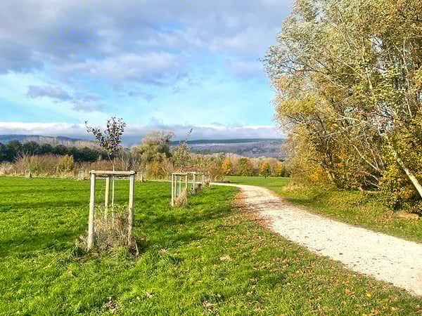 YVERDON-LES-BAINS OUEST - ADORABLE MAISON VILLAGEOISE 3