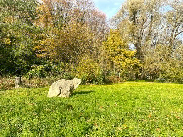 YVERDON-LES-BAINS OUEST - ADORABLE MAISON VILLAGEOISE 2