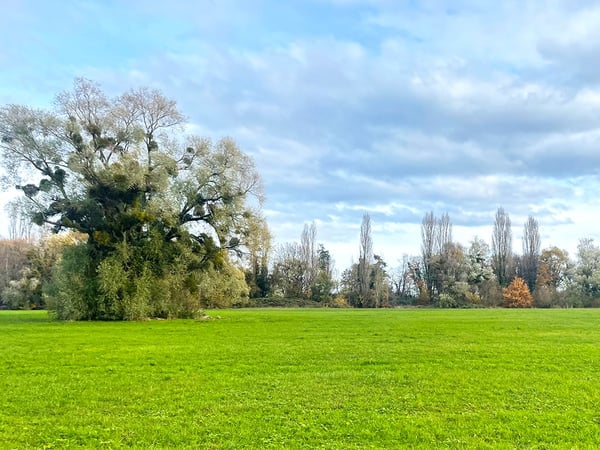 YVERDON-LES-BAINS OUEST - ADORABLE MAISON VILLAGEOISE 4