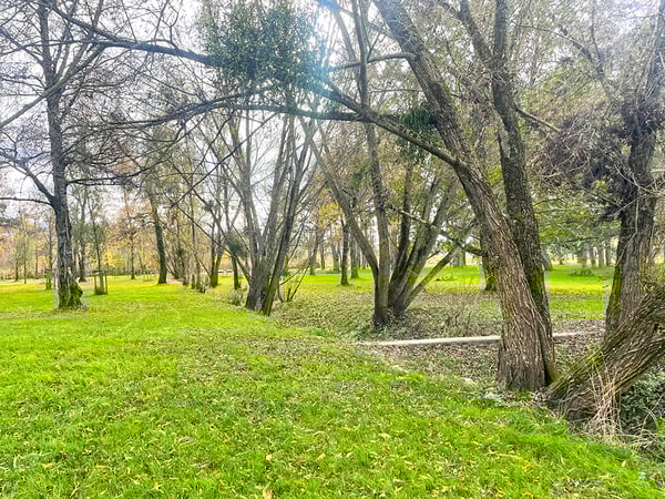 YVERDON-LES-BAINS OUEST - ADORABLE MAISON VILLAGEOISE 5