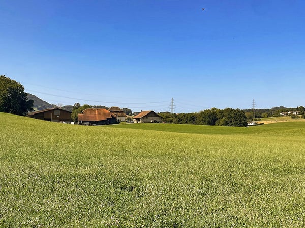 FOREL NORD - RAVISSANT APPARTEMENT - 1.5 PIECES 3