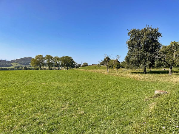 FOREL NORD - RAVISSANT APPARTEMENT - 1.5 PIECES 1