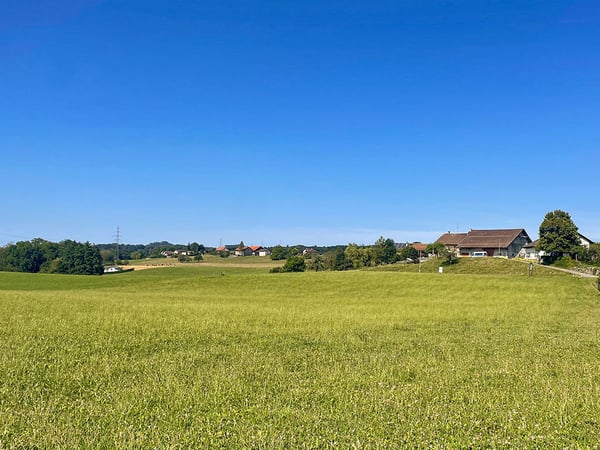 FOREL NORD - RAVISSANT APPARTEMENT - 1.5 PIECES 2