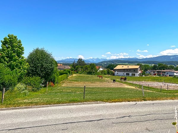 HAUTERIVE - CHARMANT APPARTEMENT - 1.5 PIECES 3