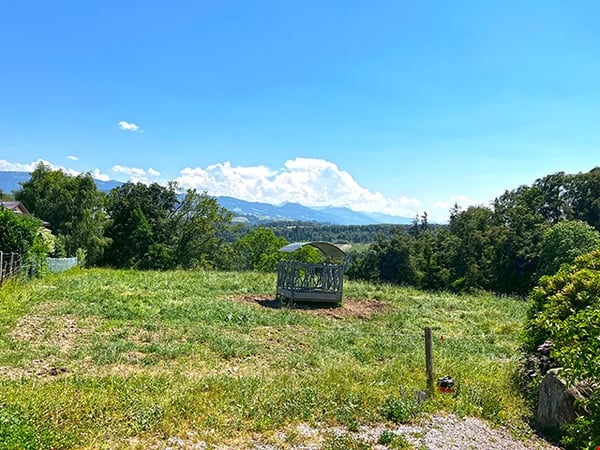 HAUTERIVE - CHARMANT APPARTEMENT - 1.5 PIECES 5