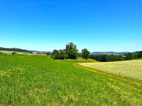 HAUTERIVE - CHARMANT APPARTEMENT - 1.5 PIECES 1