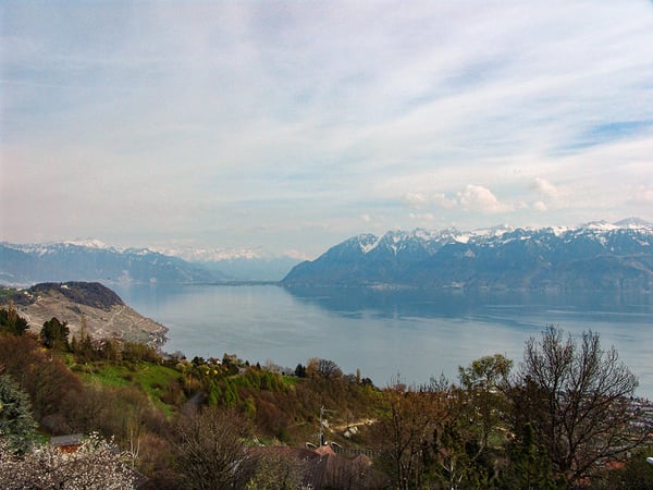 Immagine anteprima degli immobili