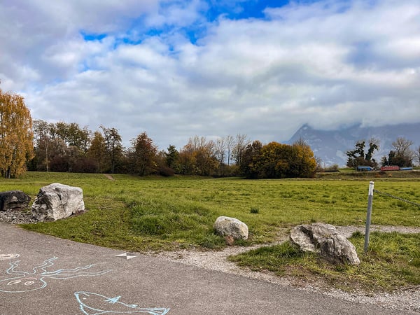 EVIONNAZ ALENTOURS - TERRAIN EXCEPTIONNEL 1