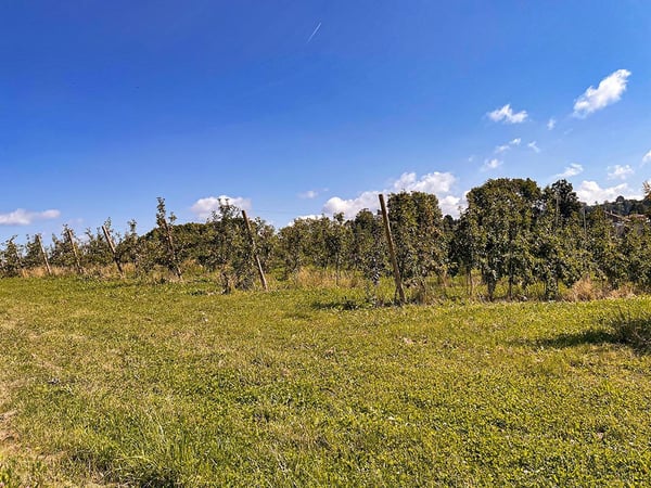 LE MONT-SUR-LAUSANNE NORD - VILLA DANS UN CADRE PRIVILEGIE - 2.0 PIECES 1