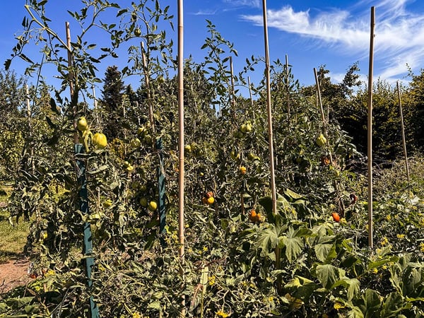 LE MONT-SUR-LAUSANNE NORD - VILLA DANS UN CADRE PRIVILEGIE - 2.0 PIECES 2