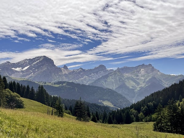 VILLARS-SUR-OLLON - CHALET AVEC CACHET 3