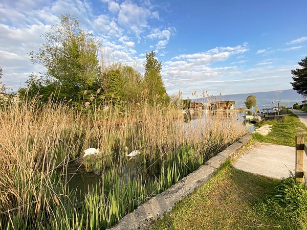 ESTAVAYER-LE-LAC EST - IMMEUBLE MIXTE D’EXCEPTION - RENDEMENT ATTRACTIF 3