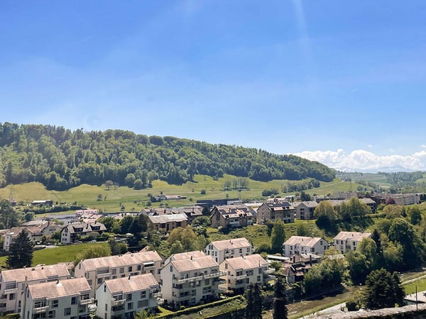 MOUDON NORD - IMMEUBLE AVEC RENDEMENT ET POTENTIEL ATTRACTIF 2
