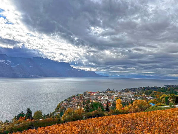 MONTREUX - VILLA D’EXCEPTION AVEC VUE PANORAMIQUE 2