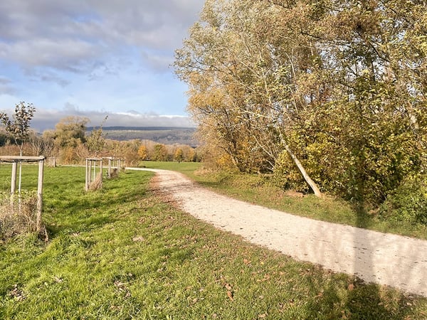 SE RÉVEILLER À QUELQUES MÈTRES DE L’EAU - OUVRIR LA BAIE VITRÉE ET SENTIR L’AIR DU LAC 2