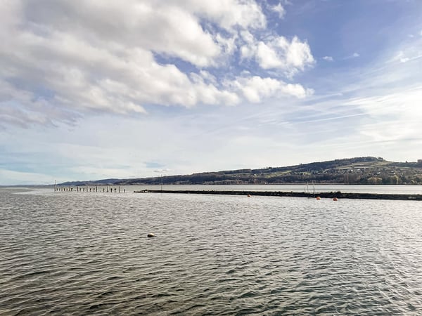 SE RÉVEILLER À QUELQUES MÈTRES DE L’EAU - OUVRIR LA BAIE VITRÉE ET SENTIR L’AIR DU LAC 3