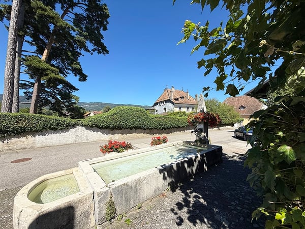 TRELEX OUEST - SOMPTUEUSE VILLA - 8.5 PIECES 1