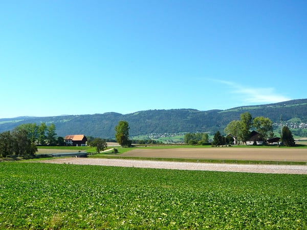 GRANDSON OUEST - SPACIEUSE VILLA INDIVIDUELLE AU CALME 4