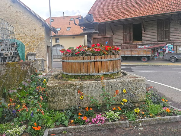 GRANDSON OUEST - SPACIEUSE VILLA INDIVIDUELLE AU CALME 3