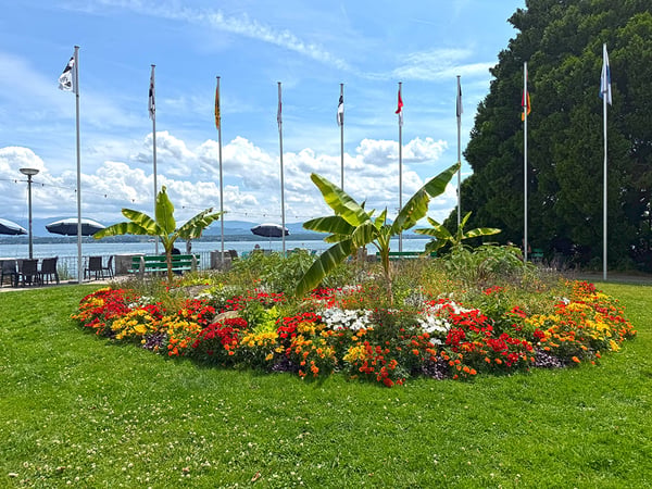 NYON - APPARTEMENT EN ATTIQUE EXCEPTIONNEL 1