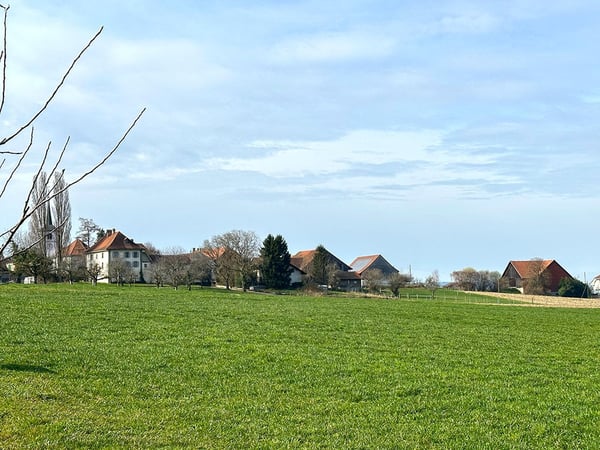 DOMAINE ÉQUESTRE DE CHARME 1