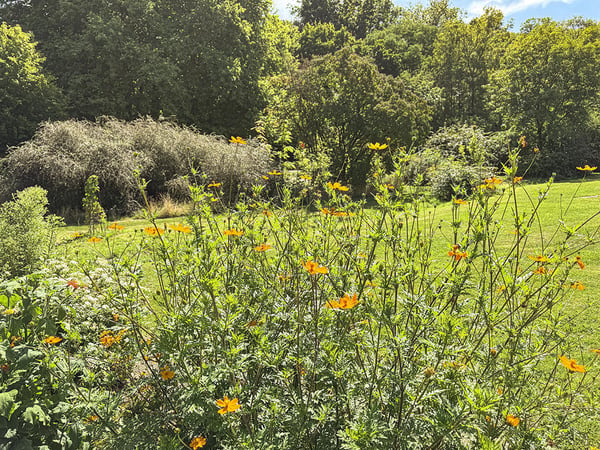 BIÈRE - VILLA CONTEMPORAINE 3