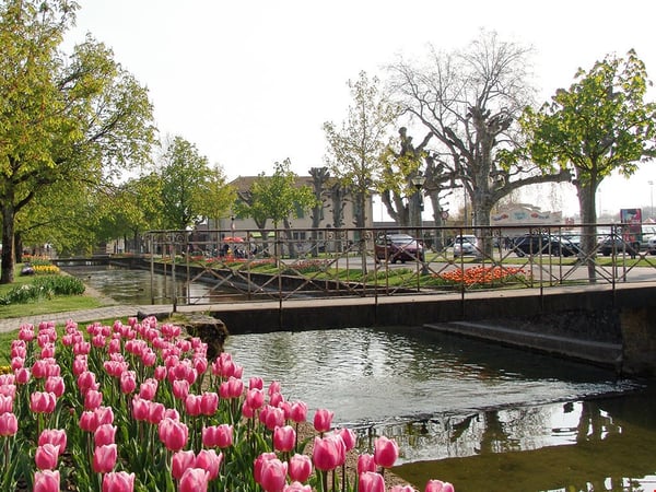 MORGES OUEST - BEL APPARTEMENT - 4.5 PIECES 3