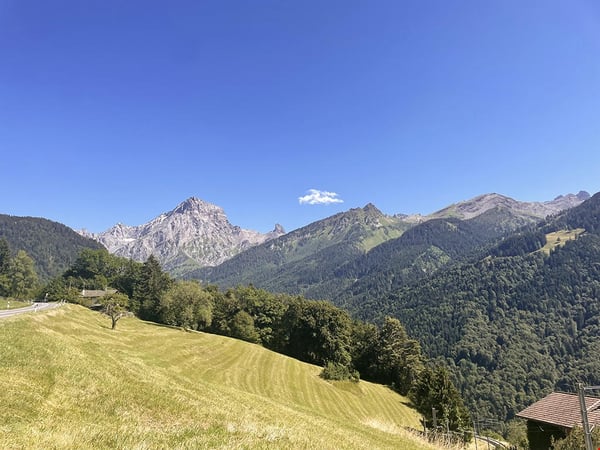 VILLARS-SUR-OLLON - CHALET AVEC CACHET 1