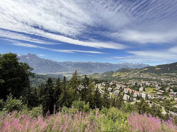 VILLARS-SUR-OLLON - CHALET AVEC CACHET 2