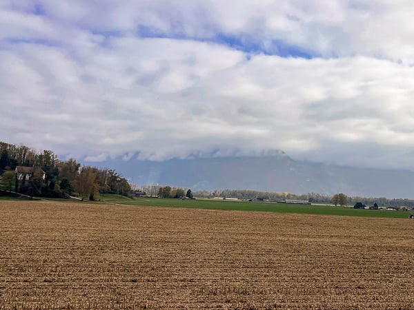 EVIONNAZ ALENTOURS - TERRAIN EXCEPTIONNEL 2