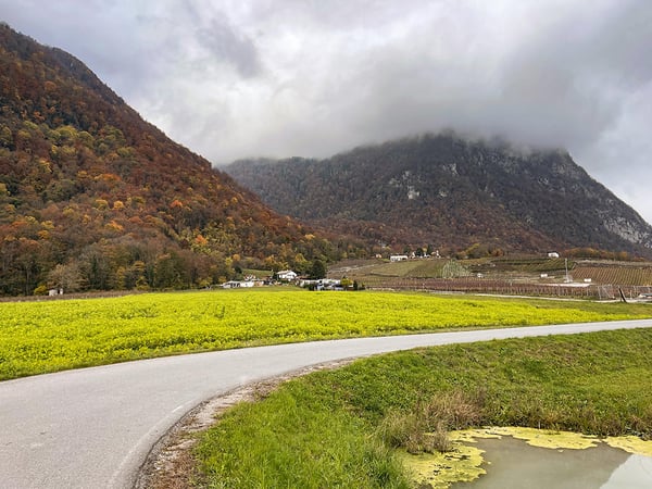 EVIONNAZ ALENTOURS - TERRAIN EXCEPTIONNEL 3