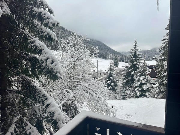 MORGINS - CHARMANT CHALET AUTHENTIQUE - 7 PIECES 1