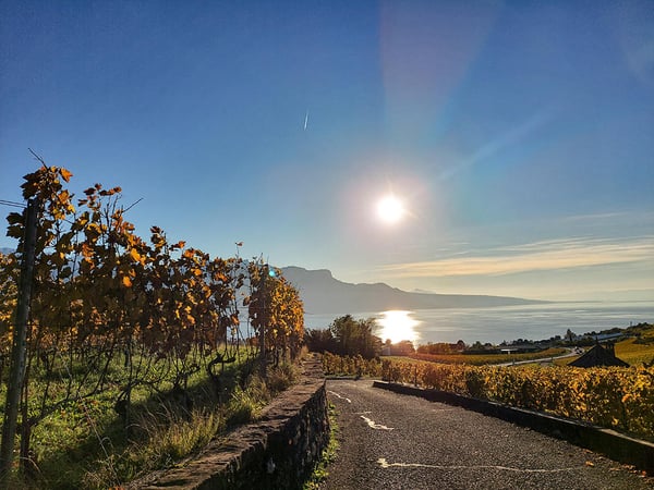 CHARDONNE-EST - VILLA AVEC VUE EPOUSTOUFLANTE 1