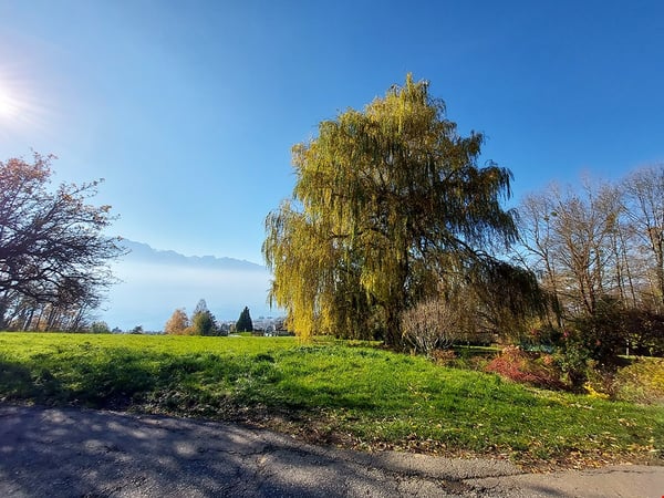 HAUTS DE BLONAY - VILLA D'EXCEPTION ET UNIQUE 2