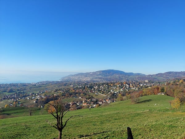 HAUTS DE BLONAY - VILLA D'EXCEPTION ET UNIQUE 3