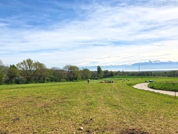 SUR LES HAUTS DE GIVRINS - MAJESTUEUSE VILLA 2