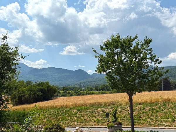 SUR LES HAUTS DE GIVRINS - MAJESTUEUSE VILLA 1