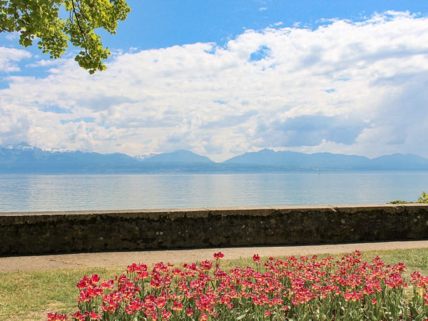 MORGES OUEST - BEAU DUPLEX - 5.5 PIECES 3