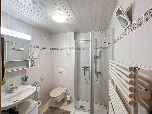 Maison mitoyenne rénovée avec bâtiment  6 studios revenus CHF 52'000.- 12