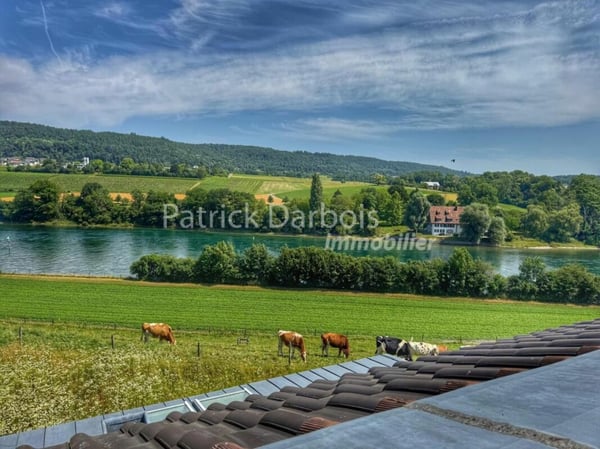 Villa individuelle 2 pièces à Diessenhofen 2