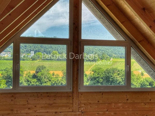 Villa individuelle 2 pièces à Diessenhofen 25