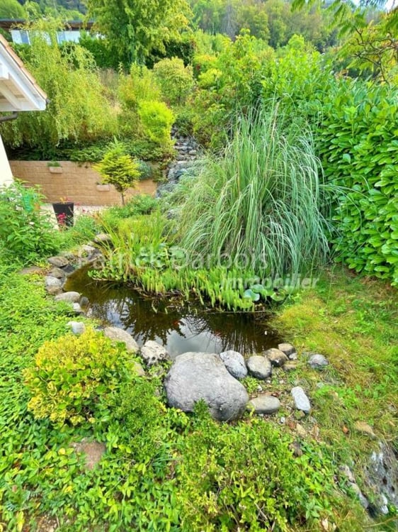 Villa individuelle 5.5 pièces à Chernex 22