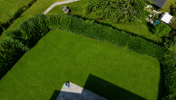 Superbe villa individuelle de 8.5 pièces à Yvonand avec piscine et grand jardin 2