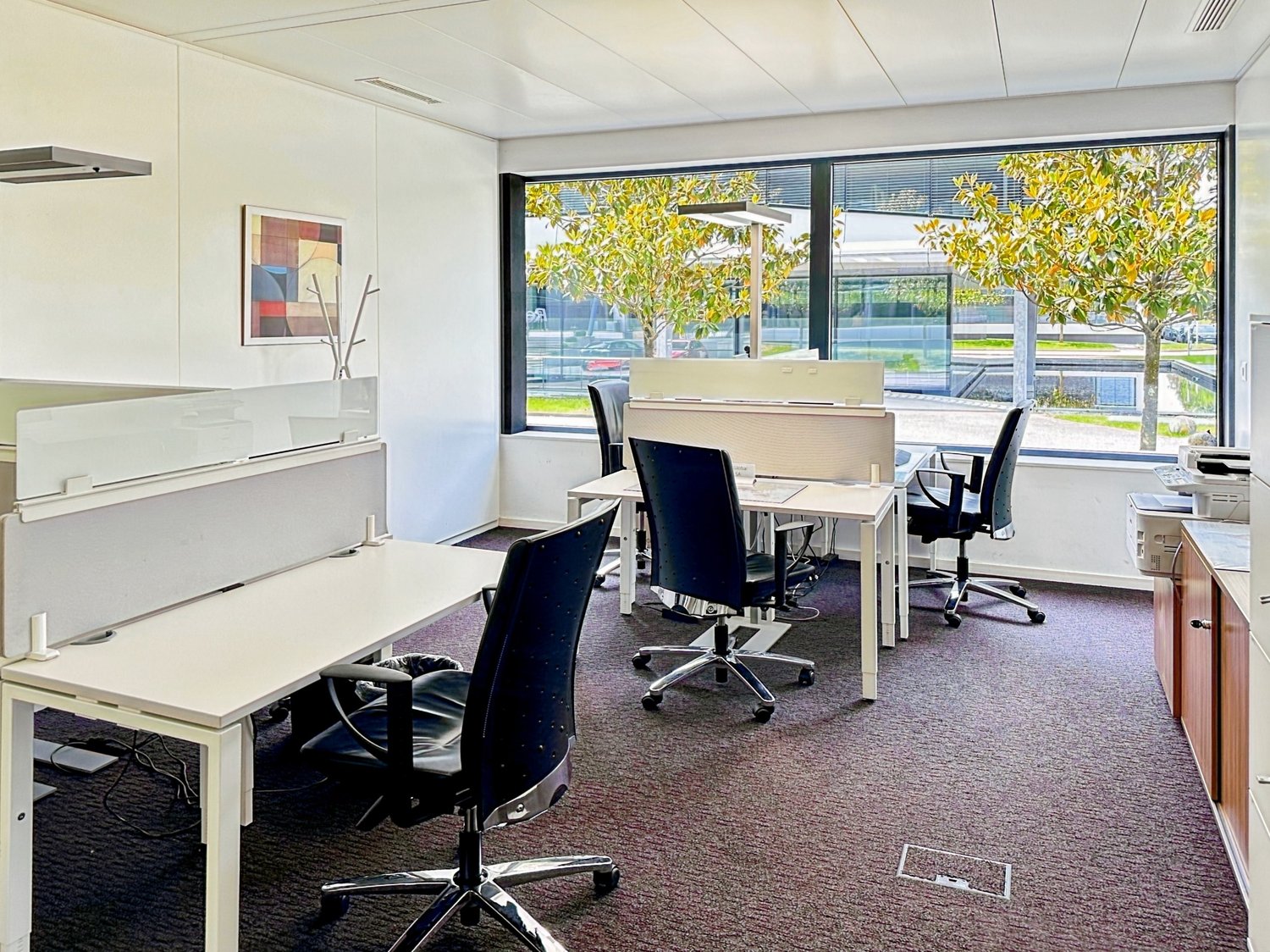 modern office with large windows, desk and chairs, picture frame, carpet, printer