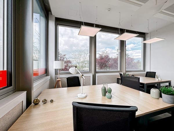 Bureau privé pour 4 à Regus Meyrin 10